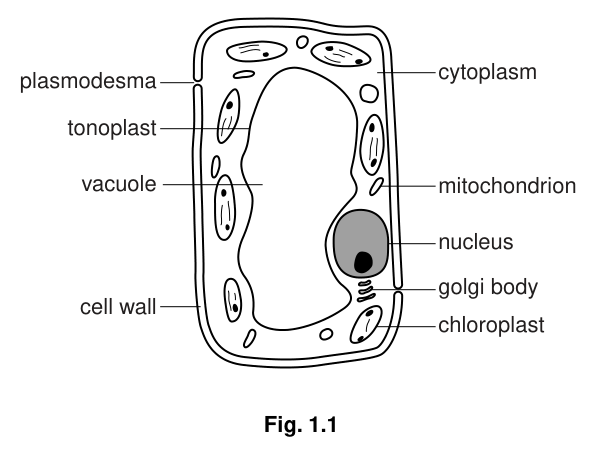 Fig. 1.1