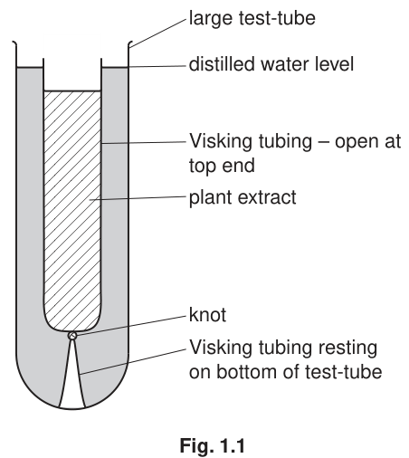 Fig. 1.1