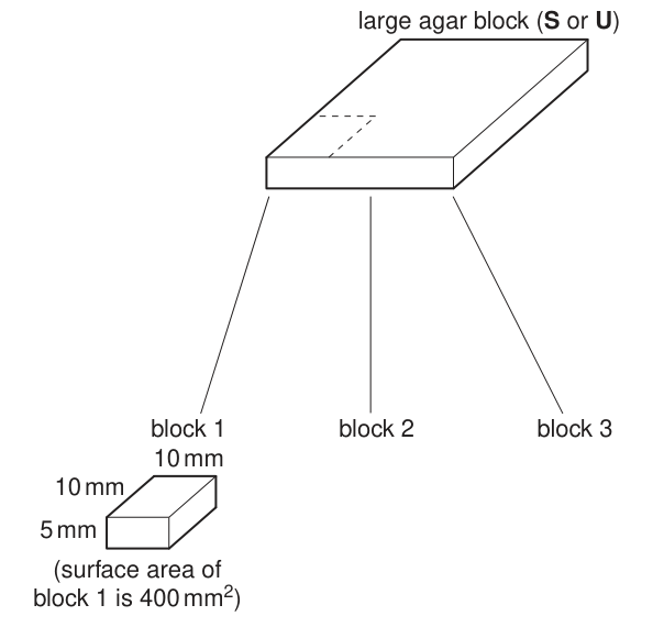 Fig. 1.1