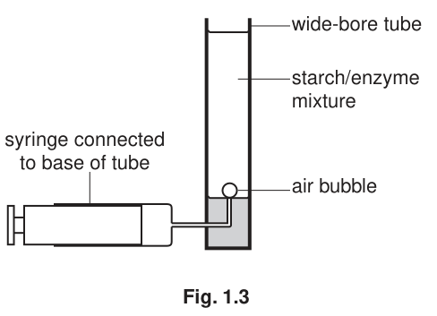 Fig. 1.3