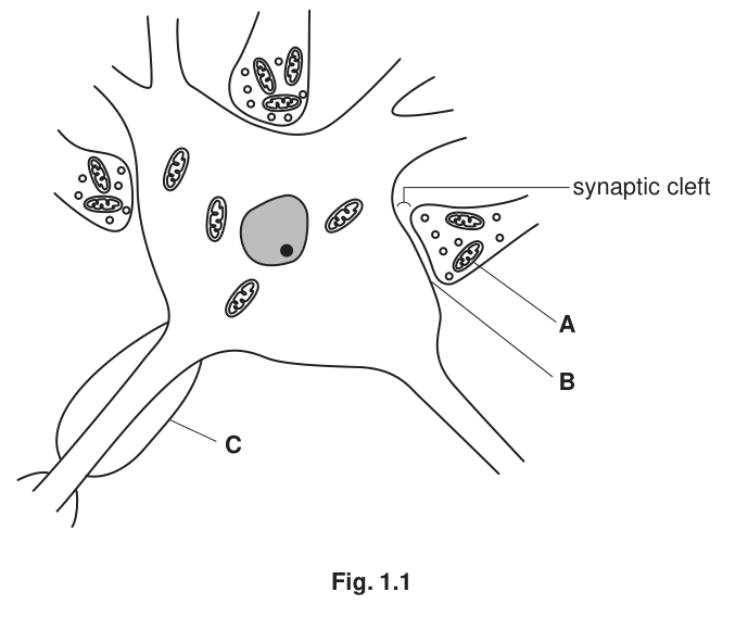 Fig. 1.1
