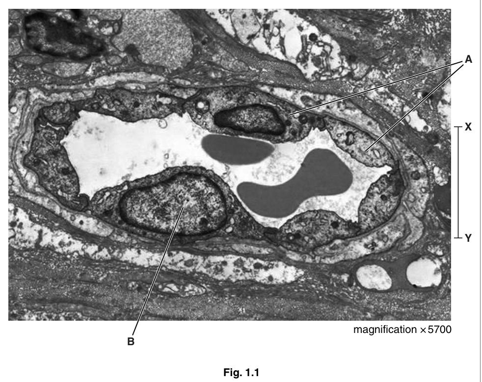 Fig. 1.1