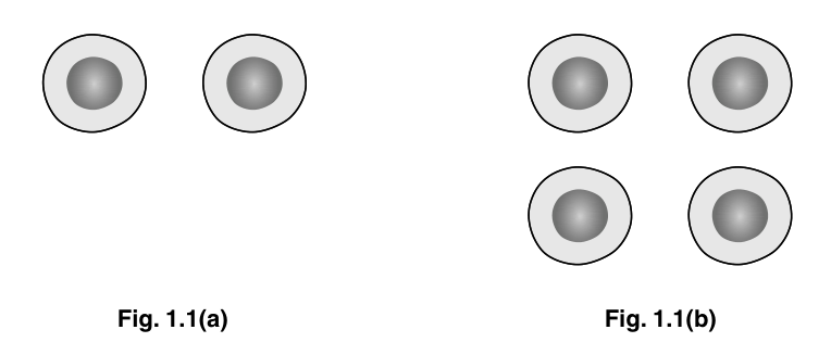 Fig. 1.1