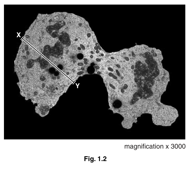 Fig. 1.2