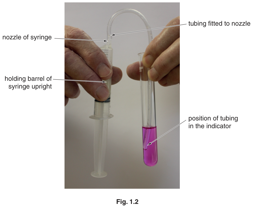 Fig. 1.2