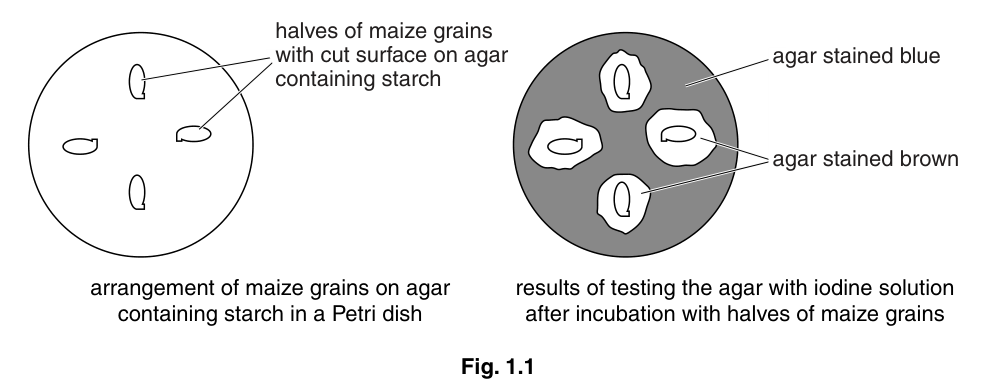 Fig. 1.1