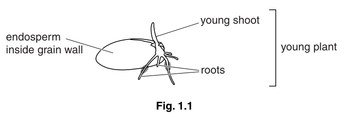Fig. 1.1