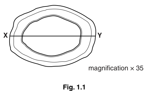 Fig. 1.1