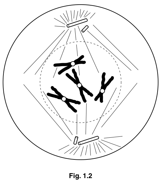 Fig. 1.2