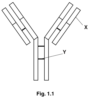 Fig. 1.1