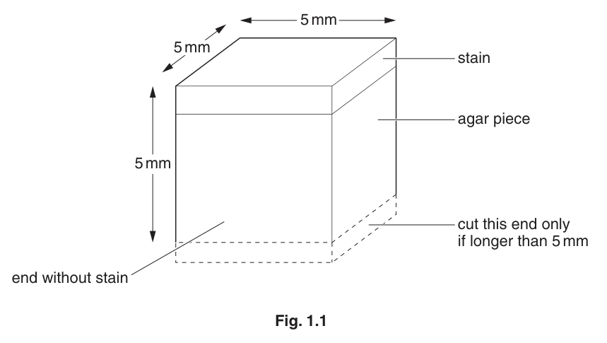Fig. 1.1