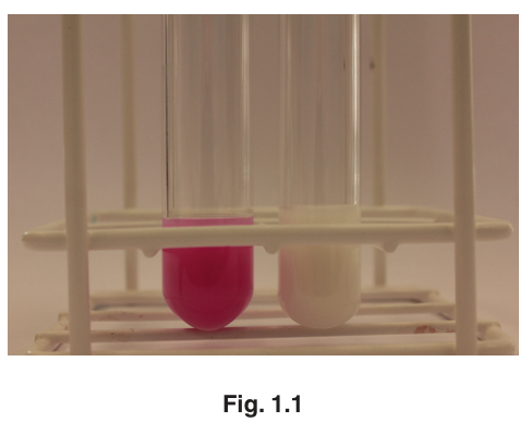 Fig. 1.1