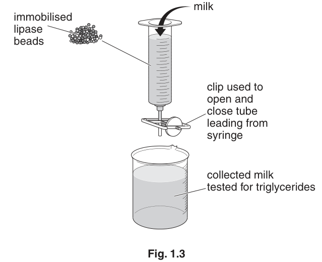 Fig. 1.3