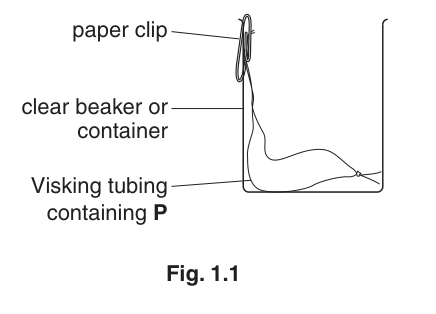 Fig. 1.1