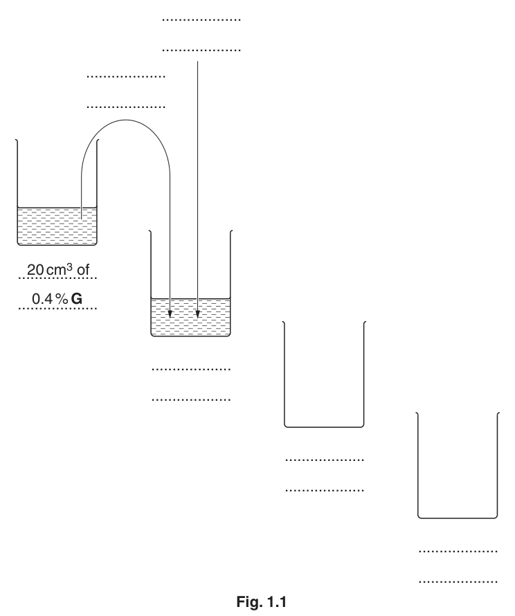 Fig. 1.1