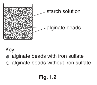Fig. 1.2
