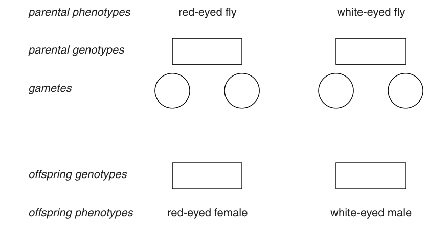 Fig. 1.1