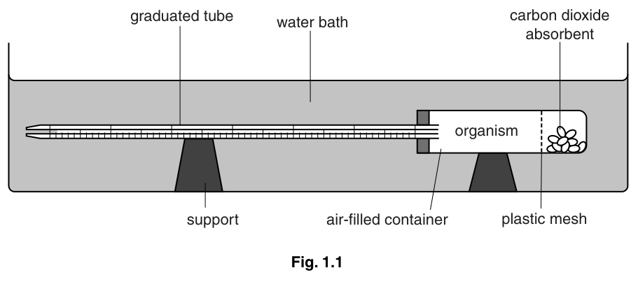 Fig. 1.1