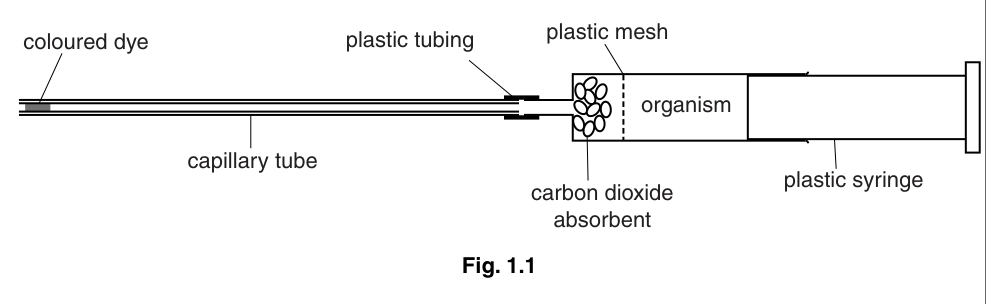 Fig. 1.1