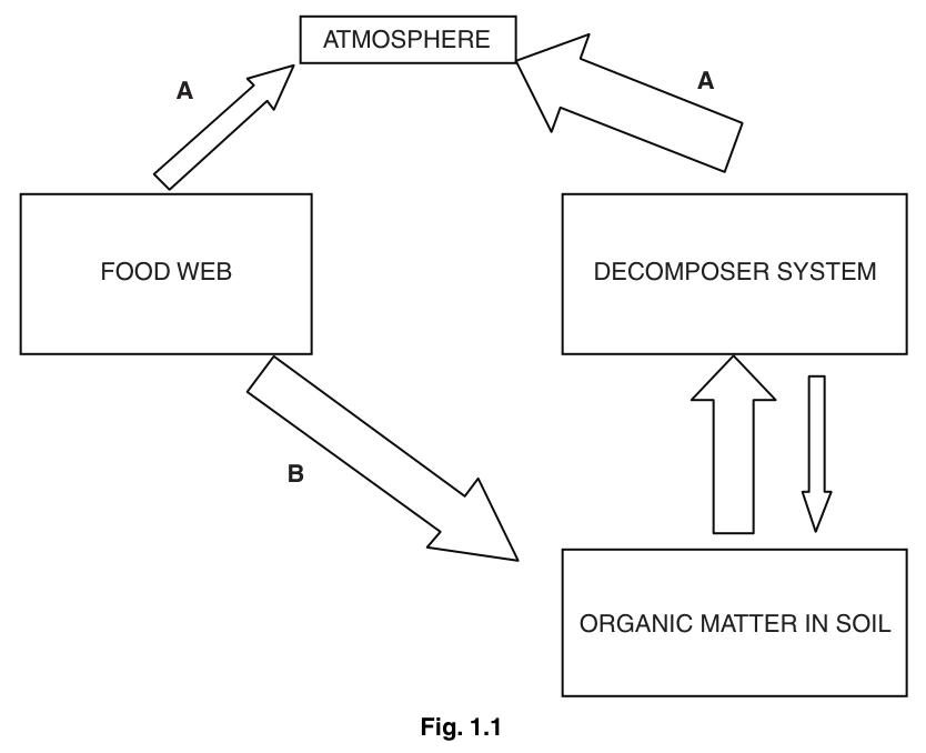 Fig. 1.1
