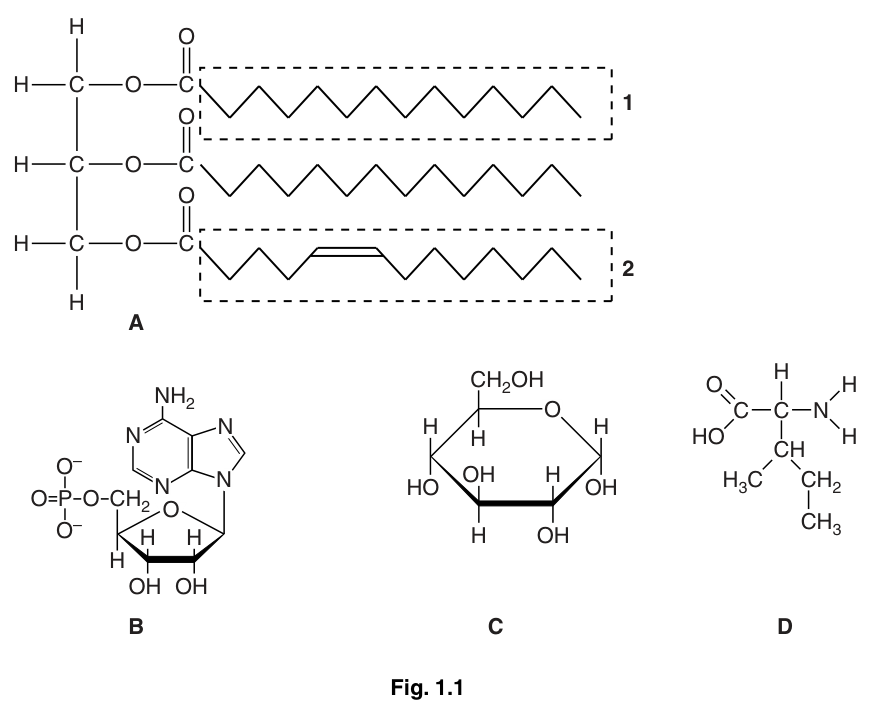 Fig. 1.1
