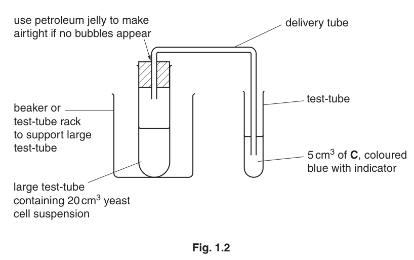 Fig. 1.2