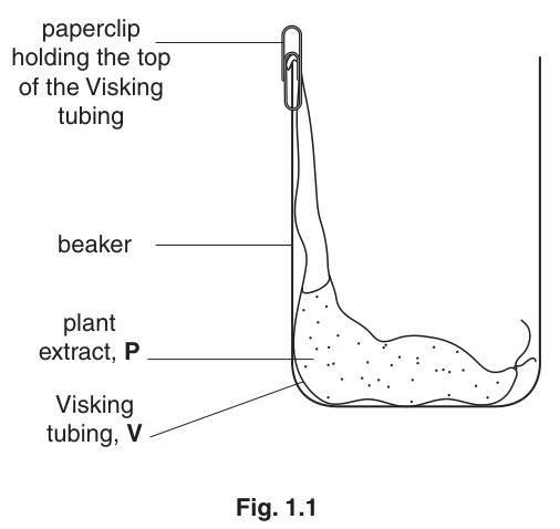 Fig. 1.1
