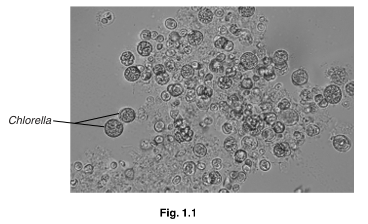 Fig. 1.1