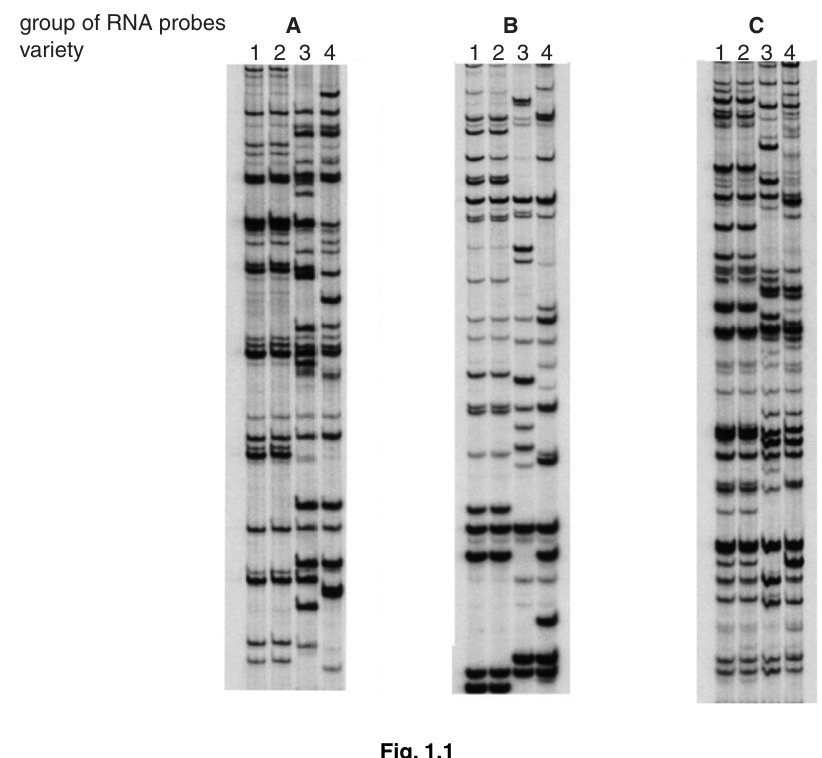 Fig. 1.1
