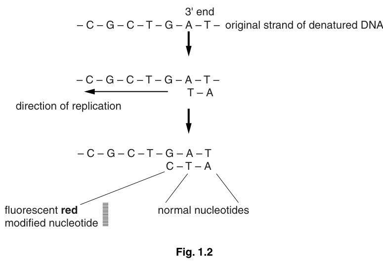 Fig. 1.2