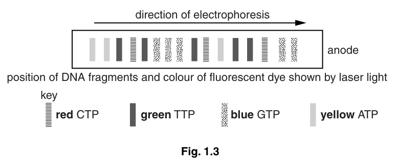 Fig. 1.3