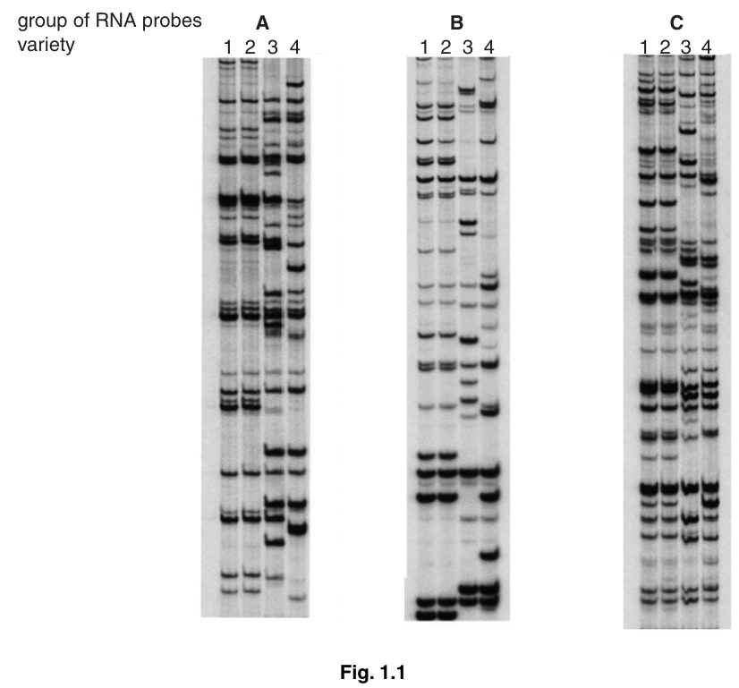 Fig. 1.1
