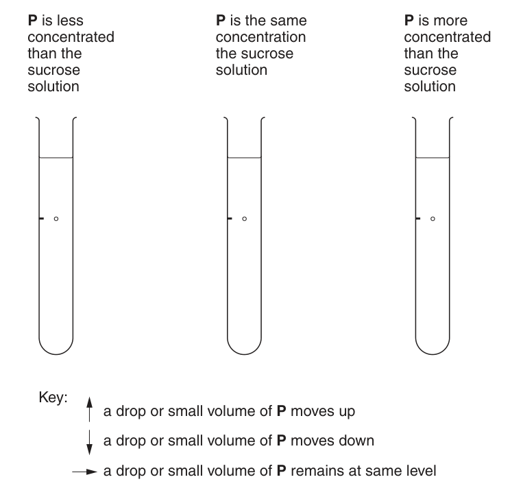 Fig. 1.3