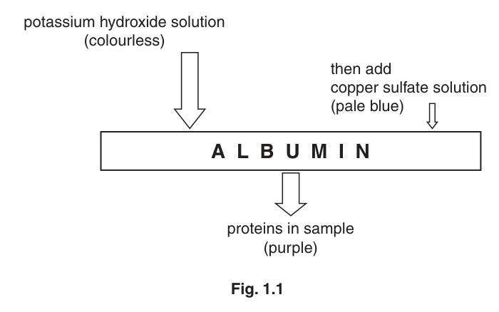 Fig. 1.1