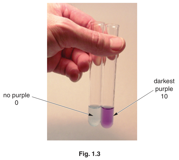Fig. 1.3