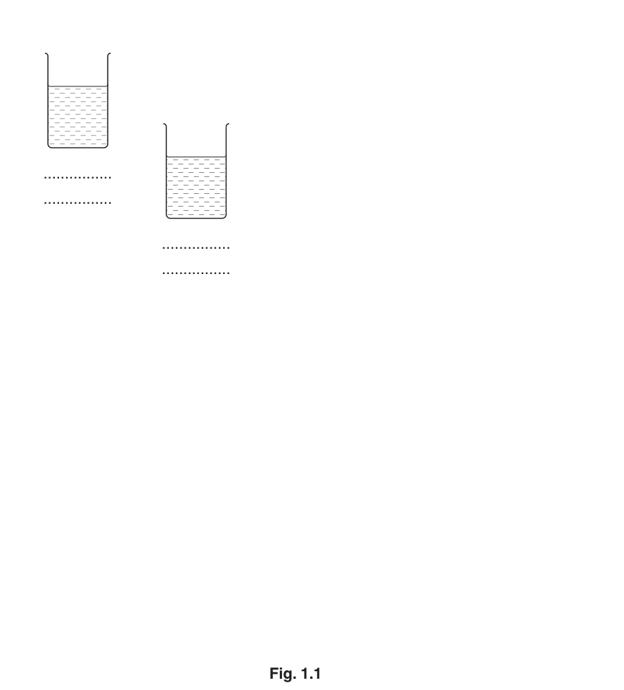 Fig. 1.1