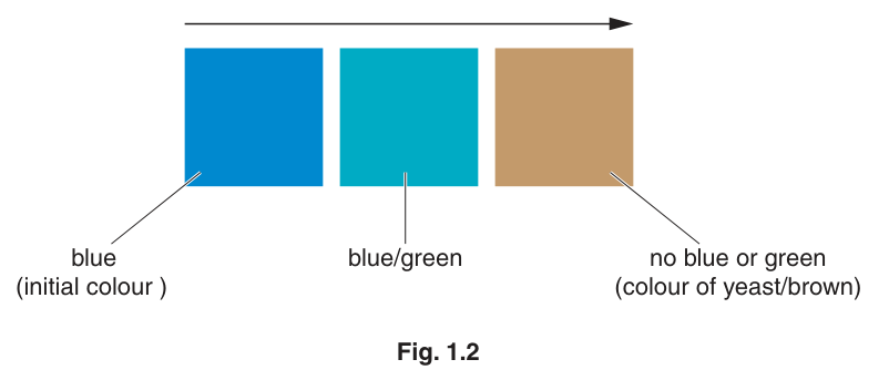 Fig. 1.2