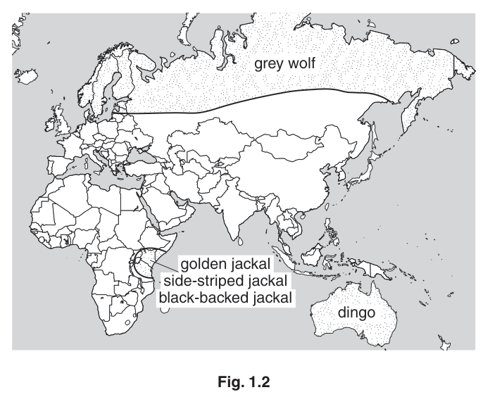 Fig. 1.2