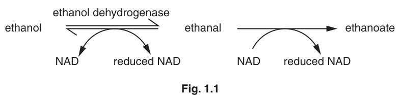 Fig. 1.1