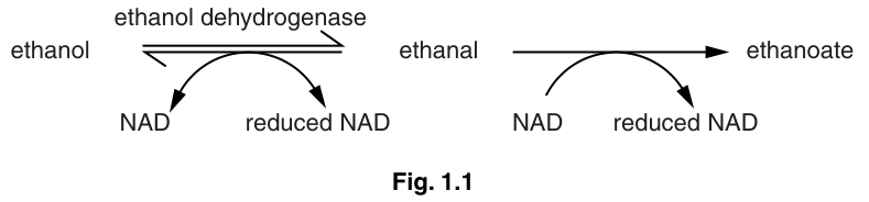 Fig. 1.1