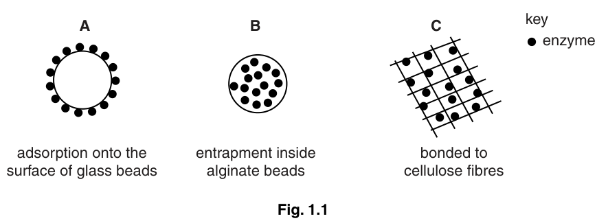 Fig. 1.1