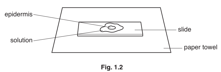 Fig. 1.2
