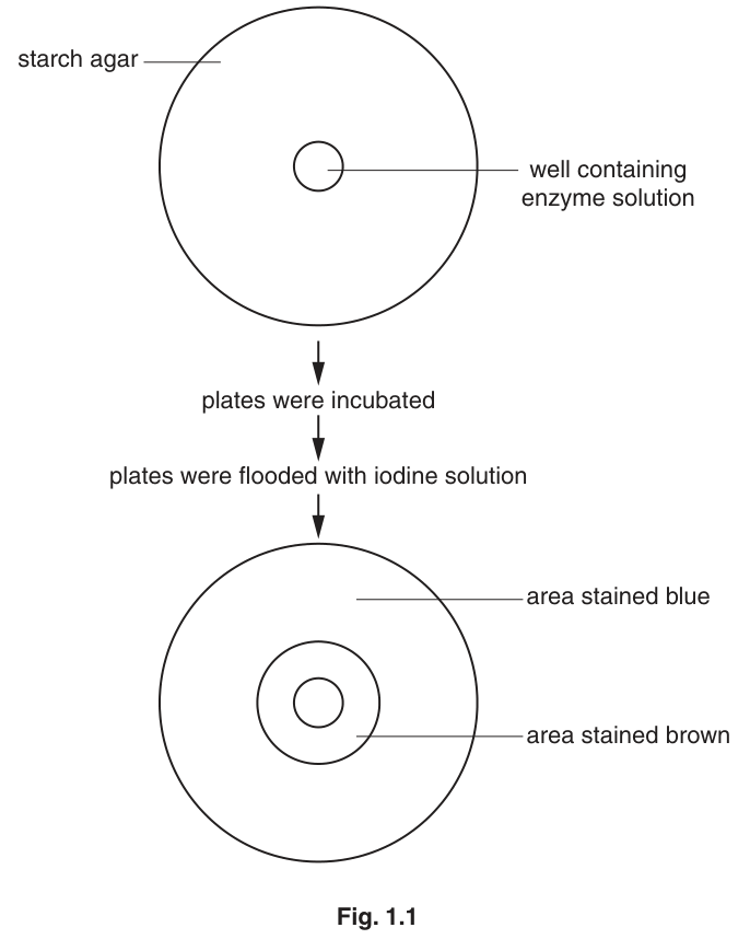 Fig. 1.1