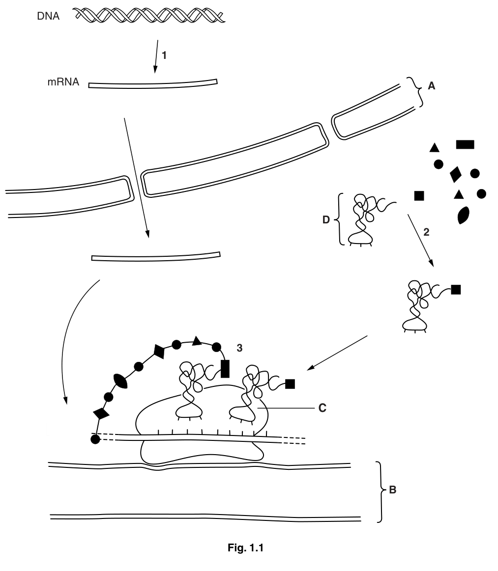 Fig. 1.1