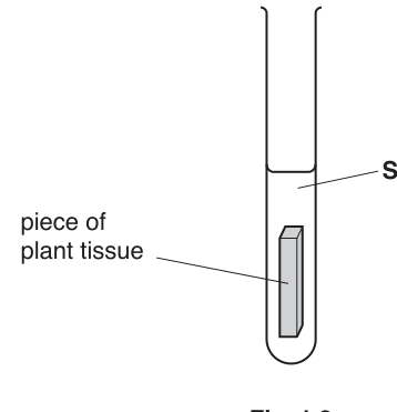 Fig. 1.2