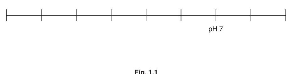 Fig. 1.1