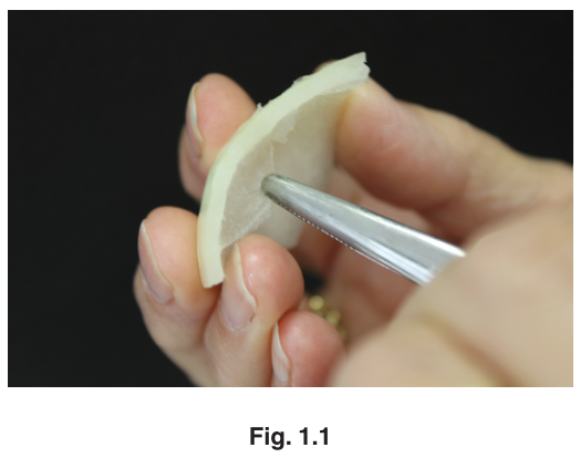 Fig. 1.1