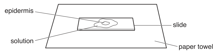 Fig. 1.2