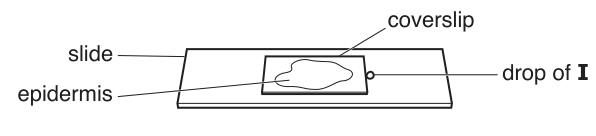 Fig. 1.3