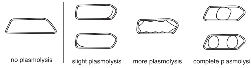 Fig. 1.4